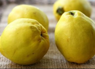 طلای زرد؛ میوهای برای آرامش، سلامت و طراوت
