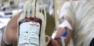 تمرکز انتقال خون بر جذب جوانان و بانوان در سال ۱۴۰۵